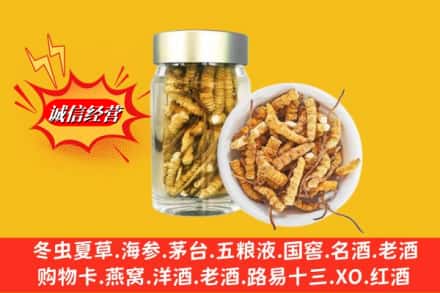 寿光市回收散虫草