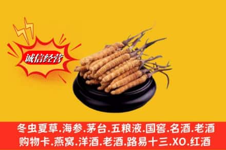 寿光市求购回收虫草多少钱每克
